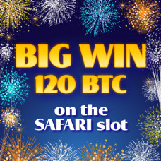 Wonderful 120 BTC win on the Safari slot in Betchain casino
