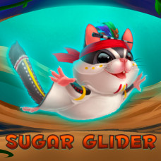 Sugar Glider - our new hero!