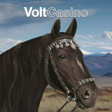 Review from VoltCasino