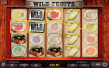 TOP FRUIT SLOTS 2020 | Try WILD FRUITS SLOT now!