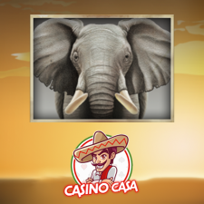 Review from Casino.Casa