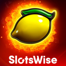 Review form: Slotswise.com