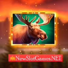 review from new slot games