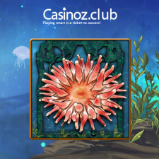 Review from Casinoz